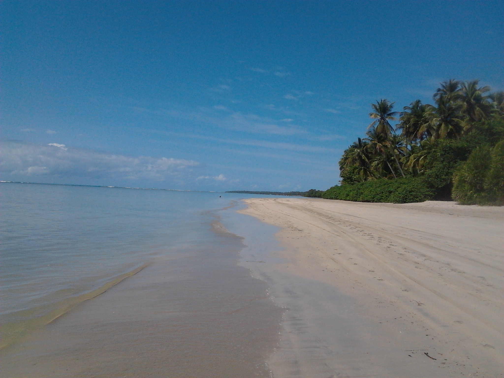 2016-08-14 10.30.24.jpg