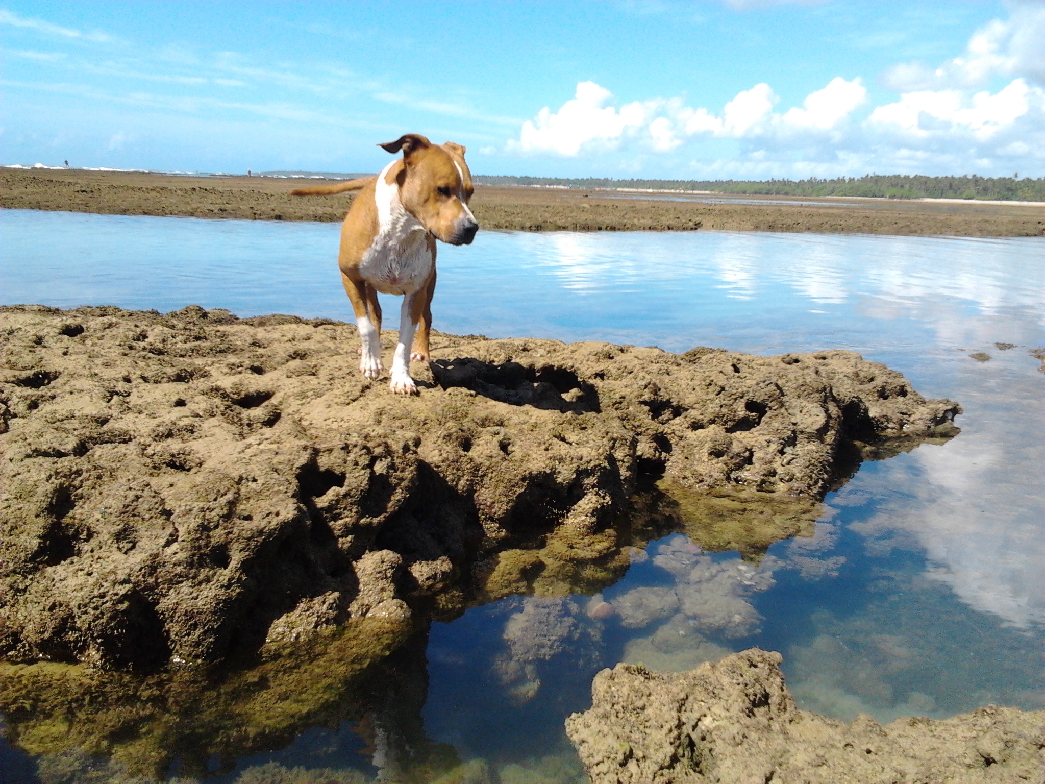 2016-04-22 09.45.19.jpg