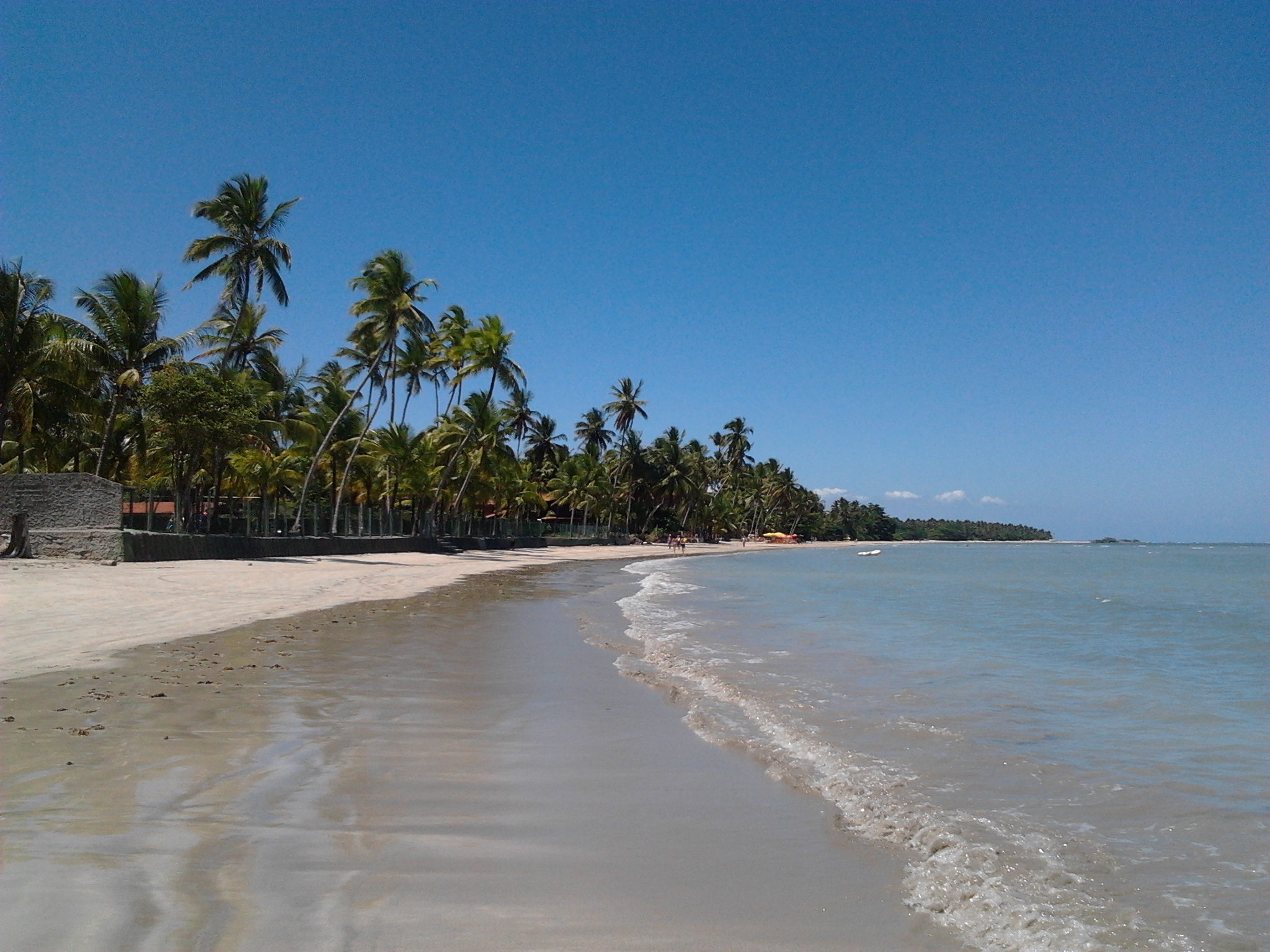 2015-12-10 12.48.01.jpg